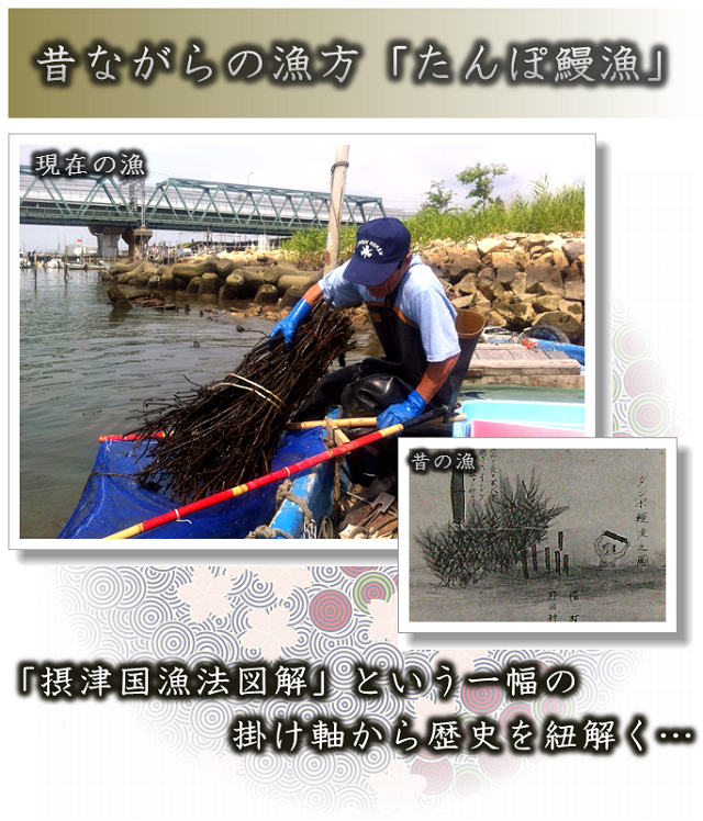 昔ながらの漁方「たんぽ鰻漁」漁獲量を抑えながら資源を確保しつつecoエコな天然うなぎをご提供！